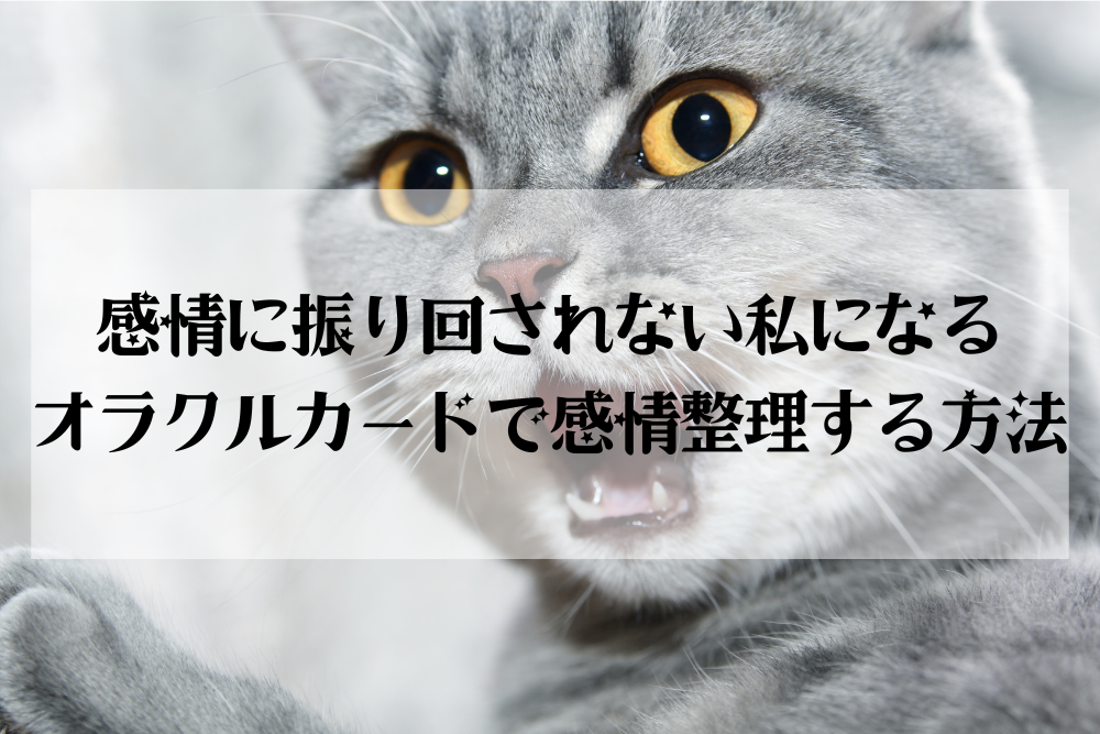 大阪・箕面 占いスクール ラブアンドライト | 感情に振り回されない私になる｜オラクルカードで感情整理する方法